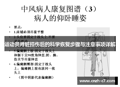 运动员肾脏损伤后的科学恢复步骤与注意事项详解