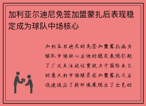 加利亚尔迪尼免签加盟蒙扎后表现稳定成为球队中场核心